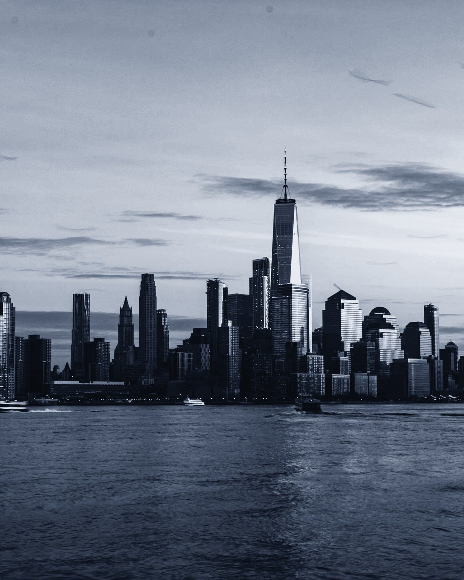 Lower Manhattan seen across the water